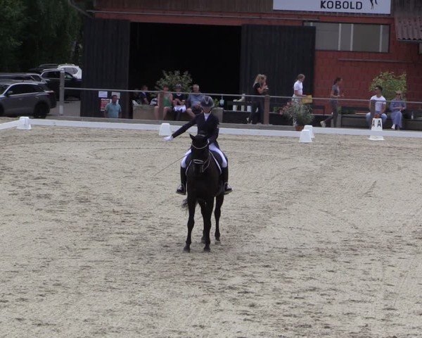 Reitturnier Uder, Reitanlage Kobold 2025