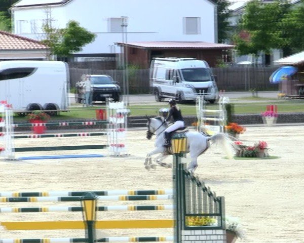 Reitturnier Ingolstadt-Hagau/Obb. 2025