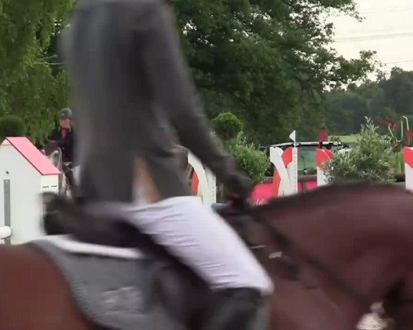 Großes Reit- und Springturnier Kirchhellen/Stall Dieckmann 2014
