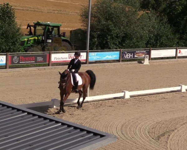 Reitturnier Uder, Reitanlage Kobold 2025