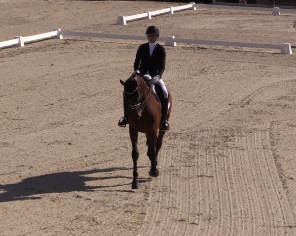 Reitturnier Uder, Reitanlage Kobold 2025
