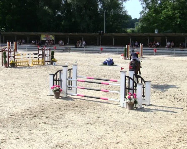 Reitturnier Ingolstadt-Hagau/Obb. 2025