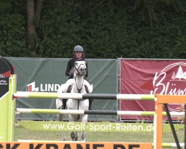 Reitturnier Wohlesbostel 2025