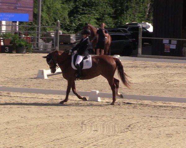 Reitturnier Uder, Reitanlage Kobold 2025
