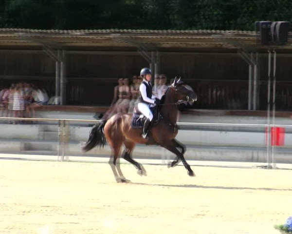 Reitturnier Ingolstadt-Hagau/Obb. 2025