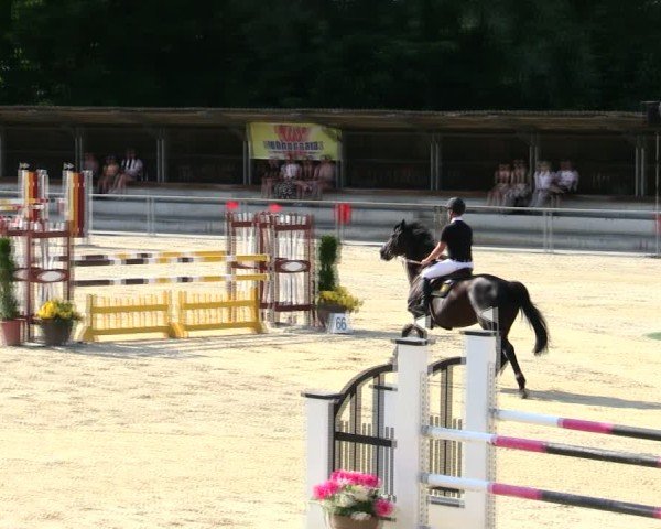 Reitturnier Ingolstadt-Hagau/Obb. 2025