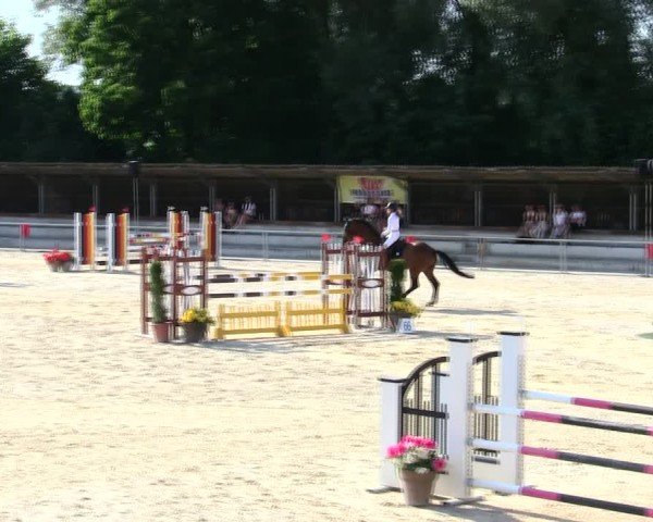 Reitturnier Ingolstadt-Hagau/Obb. 2025