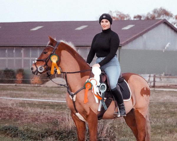 dressage horse Geordano (Welsh-Pony (Section B), 2004, from Galileo)