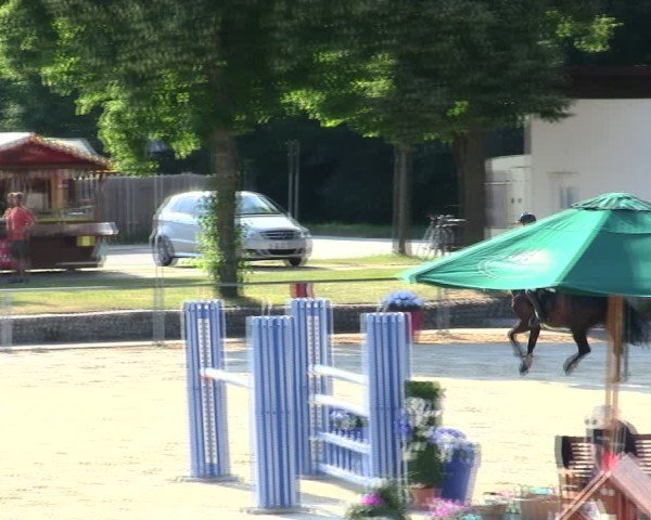 Reitturnier Ingolstadt-Hagau/Obb. 2025