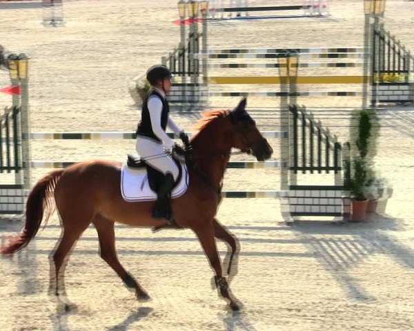 Reitturnier Ingolstadt-Hagau/Obb. 2025