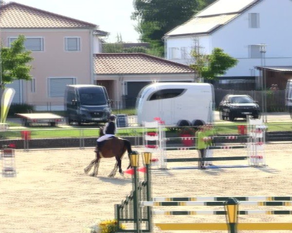 Reitturnier Ingolstadt-Hagau/Obb. 2025