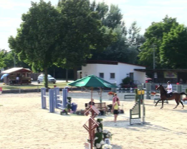 Reitturnier Ingolstadt-Hagau/Obb. 2025