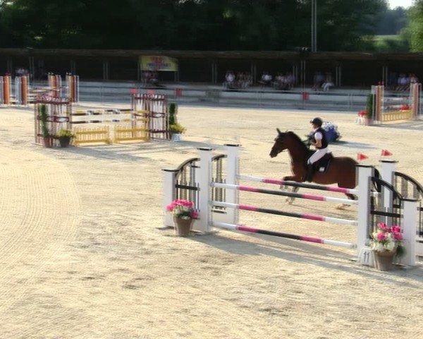 Reitturnier Ingolstadt-Hagau/Obb. 2025