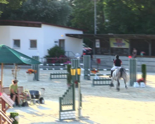 Reitturnier Ingolstadt-Hagau/Obb. 2025