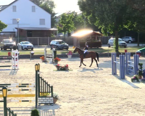 Reitturnier Ingolstadt-Hagau/Obb. 2025