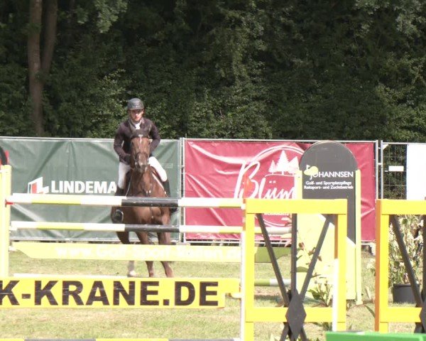 Reitturnier Wohlesbostel 2025