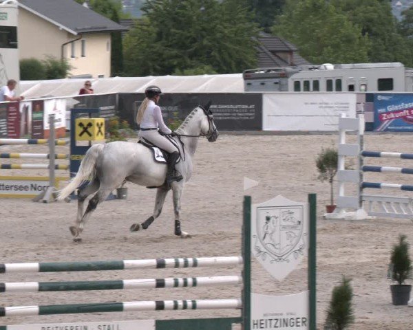 Springturnier Seewalchen 2025