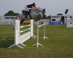 broodmare Cascada L (Westphalian, 2004, from Cornet Obolensky)