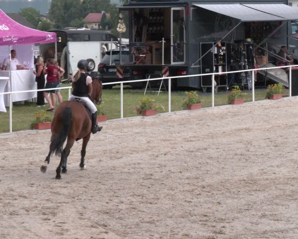 Springturnier Seewalchen 2025