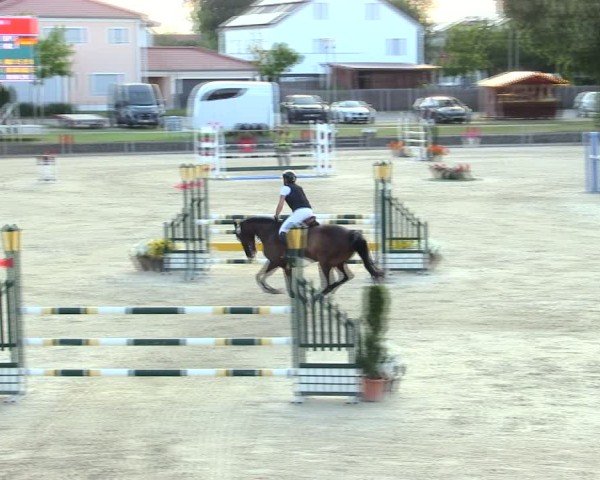 Reitturnier Ingolstadt-Hagau/Obb. 2025