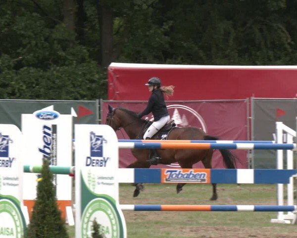 Reitturnier Wohlesbostel 2025
