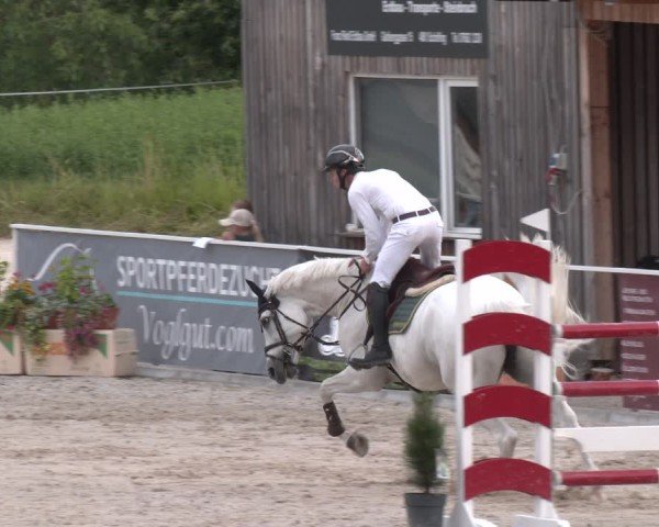 Springturnier Seewalchen 2025