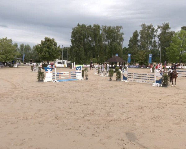 Reitturnier Münster-Roxel 2025