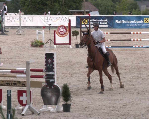 Springturnier Seewalchen 2025