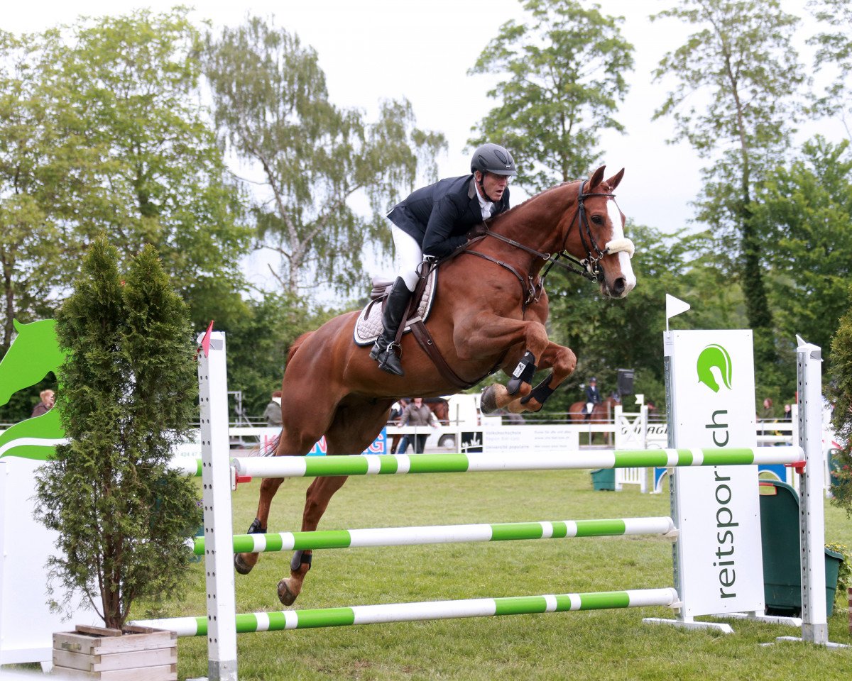 jumper Osterprinz 3 (Bavarian, 2009, from Ostermond xx)