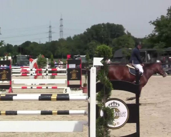 Großes Reit- und Springturnier Kirchhellen/Stall Dieckmann 2014