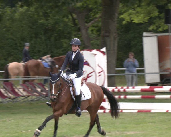 Reitturnier Wohlesbostel 2025