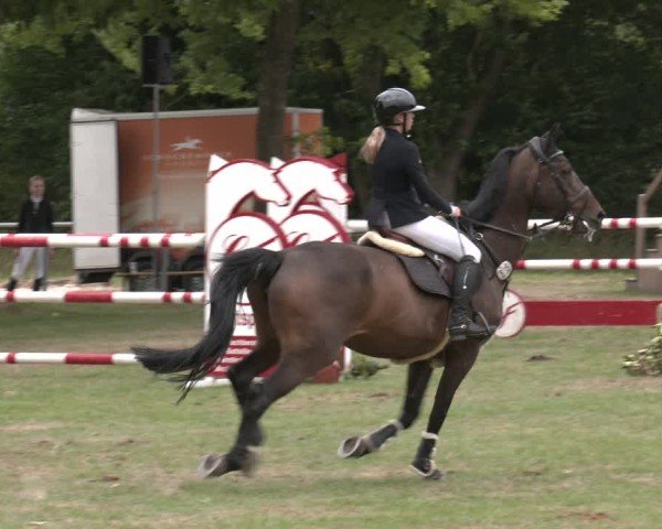 Reitturnier Wohlesbostel 2025