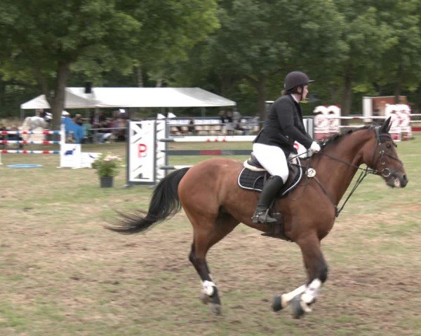 Reitturnier Wohlesbostel 2025