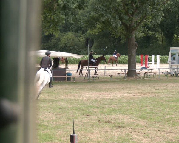Reitturnier Wohlesbostel 2025