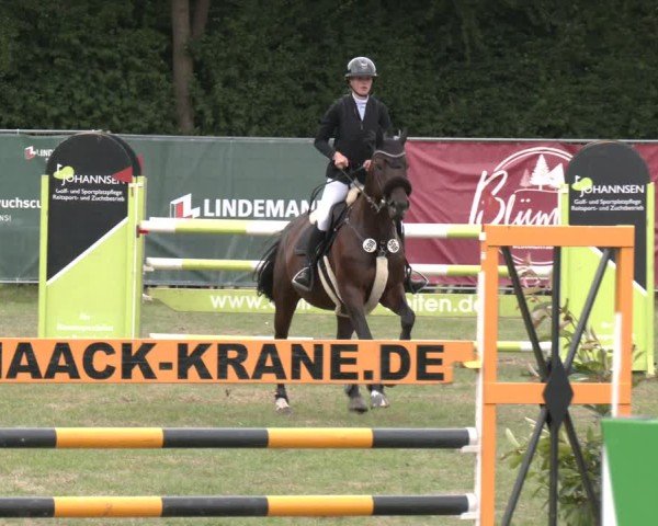 Reitturnier Wohlesbostel 2025