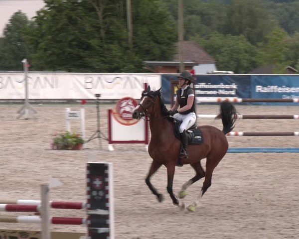 Springturnier Seewalchen 2025