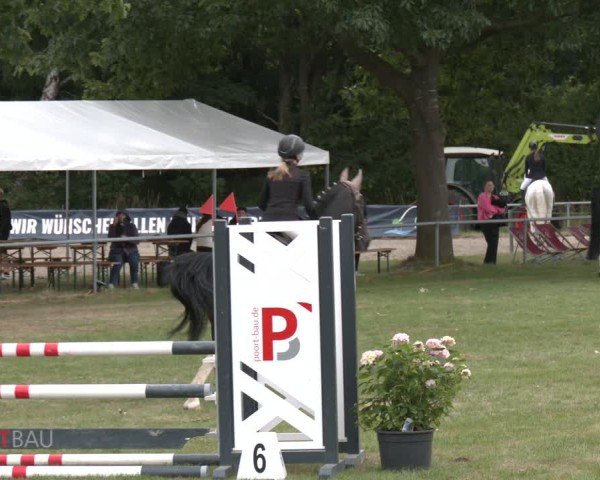 Reitturnier Wohlesbostel 2025