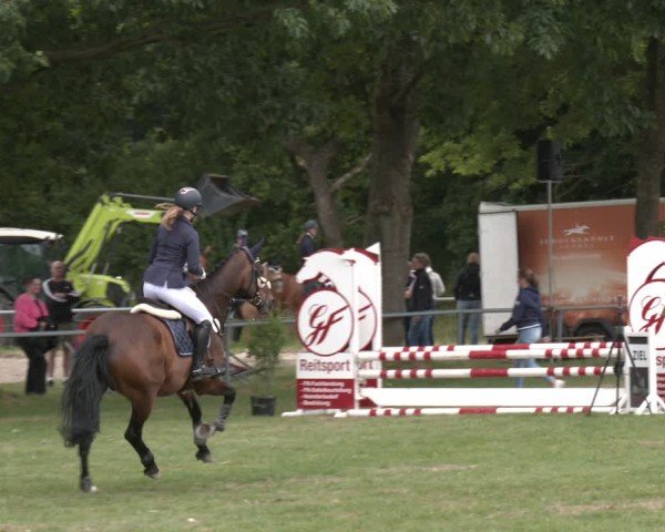 Reitturnier Wohlesbostel 2025