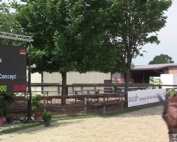 Großes Reit- und Springturnier Kirchhellen/Stall Dieckmann 2014