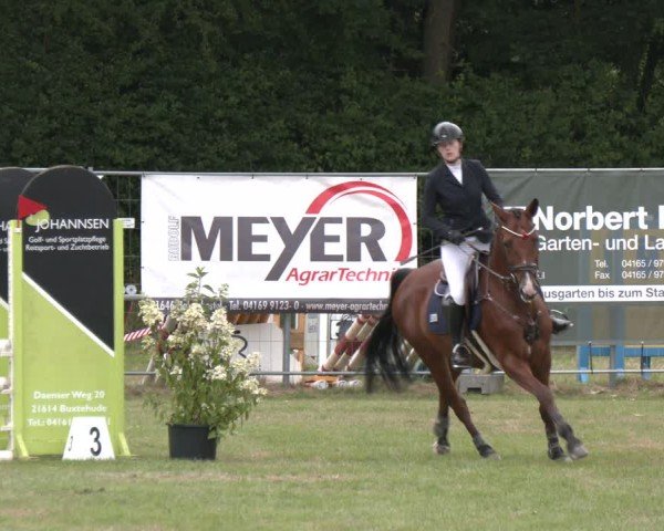 Reitturnier Wohlesbostel 2025