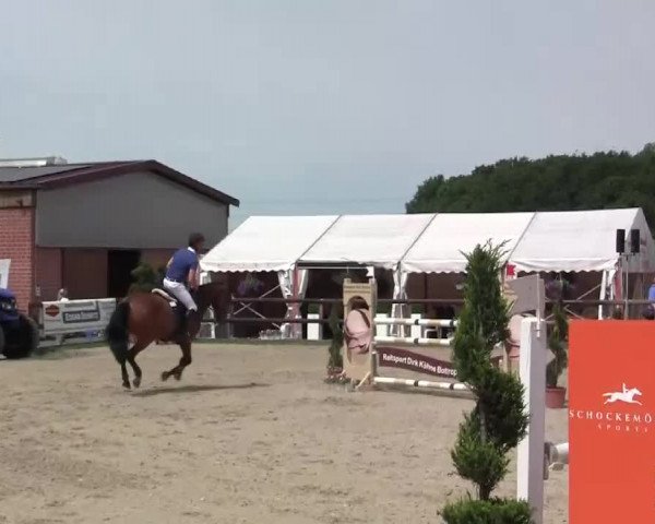 Großes Reit- und Springturnier Kirchhellen/Stall Dieckmann 2014