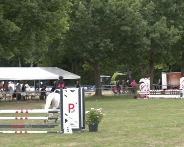 Reitturnier Wohlesbostel 2025