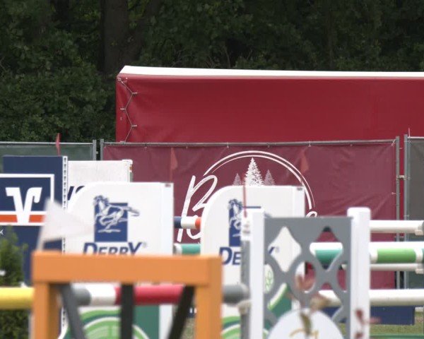Reitturnier Wohlesbostel 2025