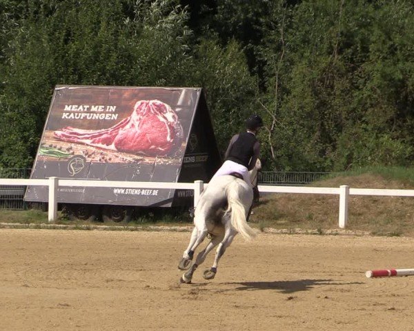 Reitturnier Oberkaufungen 2025