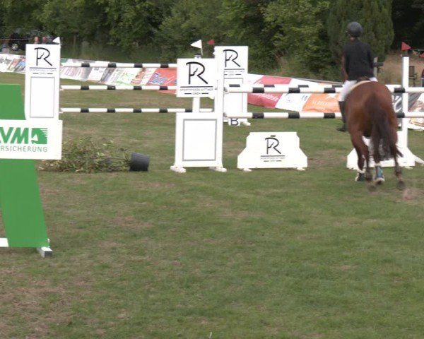Reitturnier Wohlesbostel 2025