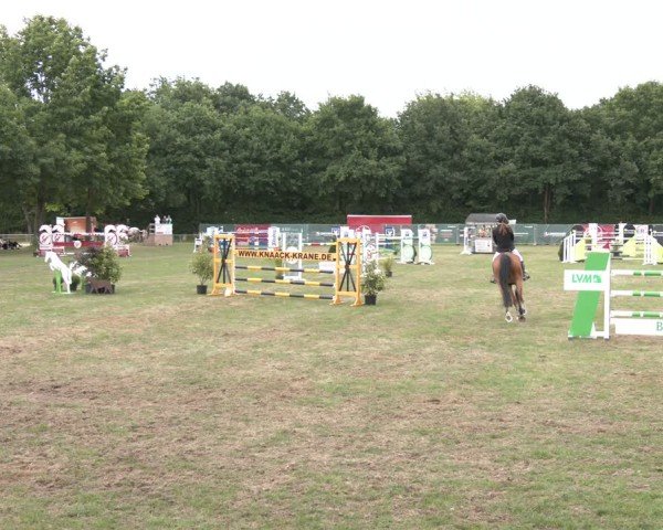 Reitturnier Wohlesbostel 2025