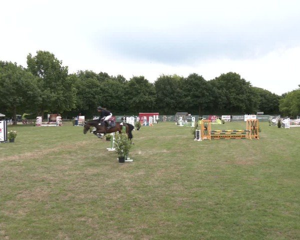 Reitturnier Wohlesbostel 2025