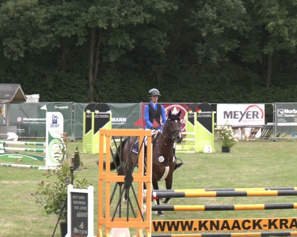 Reitturnier Wohlesbostel 2025