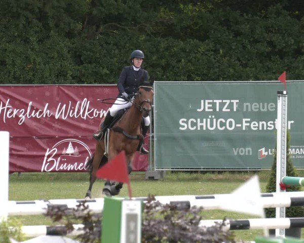 Reitturnier Wohlesbostel 2025
