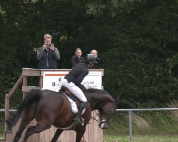 Reitturnier Wohlesbostel 2025